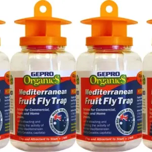 West Australian Mediterranean Fruit Fly Trap x 4 Bulk Buy