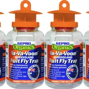 Queensland Fruit Fly Trap x 4 Bulk Buy